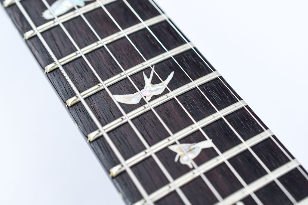 PRS Custom 24 Fireburst 2023-14.jpg