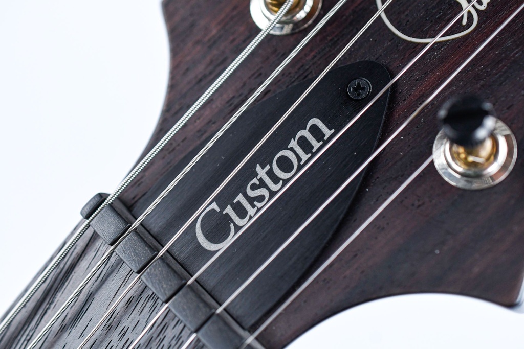 PRS Custom 24 Fireburst 2023-16.jpg