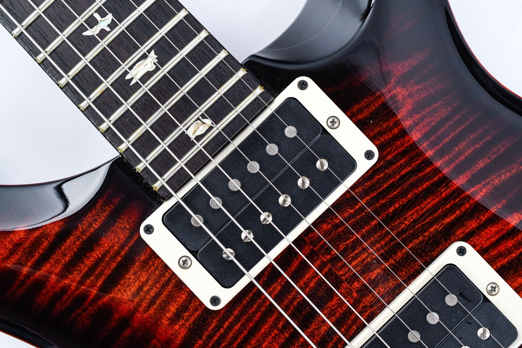 PRS Custom 24 Fireburst 2023-15.jpg