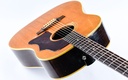 Gibson J50 1965-8.jpg