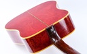 Gibson Dove 1968-9.jpg