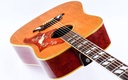 Gibson Dove 1968-8.jpg