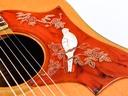 Gibson Dove 1968-11.jpg