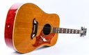 Gibson Dove 1968-12.jpg