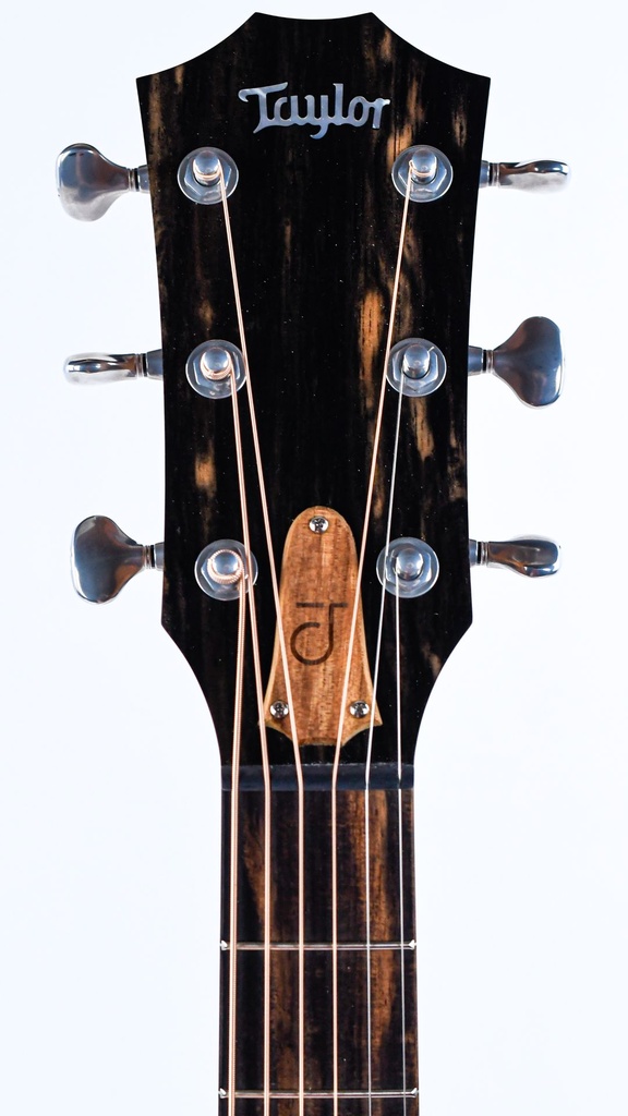 [E097001018106991000] Taylor Jacob Collier Signature Model 6 String-4.jpg