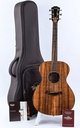 [E097001018106991000] Taylor Jacob Collier Signature Model 6 String-1.jpg