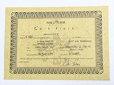 Nik Hauber Krautster II Worn Gold 2019-2.jpg