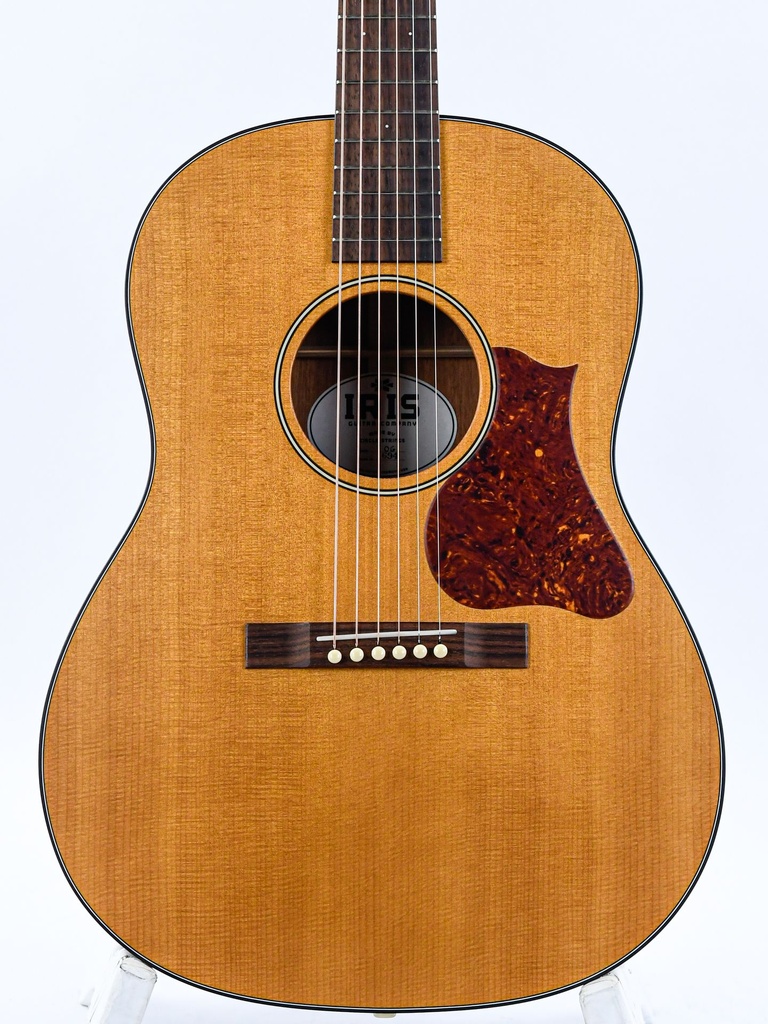 Iris OG Natural Mahogany Spruce 2023-3.jpg
