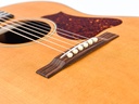 Iris OG Natural Mahogany Spruce 2023-10.jpg
