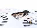 Dobro Roundneck DM1000 Shield USA 1994-11.jpg