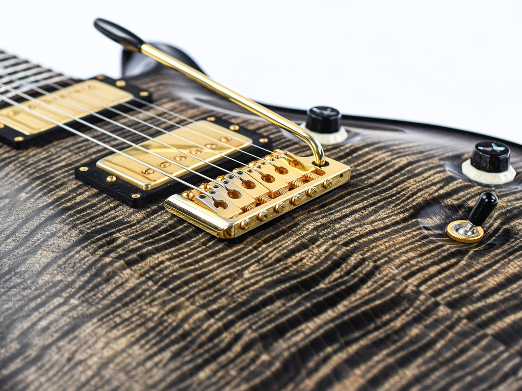 PRS Wood Library Custom 24 Charcoal Burst 2010-11.jpg