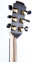 Lowden F50C Brazilian Rosewood Adirondack-7.jpg
