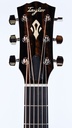 Taylor Gold Label 717e Rosewood Sunburst Cream Pickguard-4.jpg