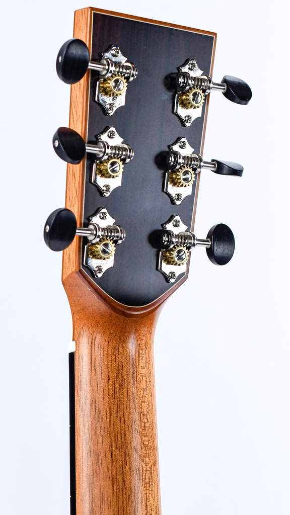 [30019] Lakewood A45 Custom Ziricote 2020-6.jpg