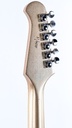 [11] Gibson Custom Shop ES335DG Dave Grohl Gold #11 0f 400-5.jpg