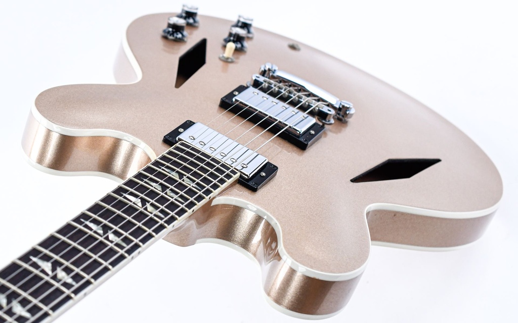 [11] Gibson Custom Shop ES335DG Dave Grohl Gold #11 0f 400-8.jpg
