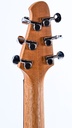 Powers Electric A Type FF42 Two Tone Mint Fjord-5.jpg