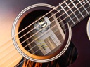 Taylor 50th Anniversary AD14ce Sunburst LTD Edition 2024-11.jpg