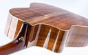 Huss & Dalton CM Custom Australian Blackwood 2011-9.jpg