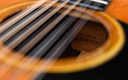 Martin D12-28 12-String 1972-12.jpg