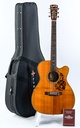 Blueridge BR163C Rosewood Spruce 2012-1.jpg