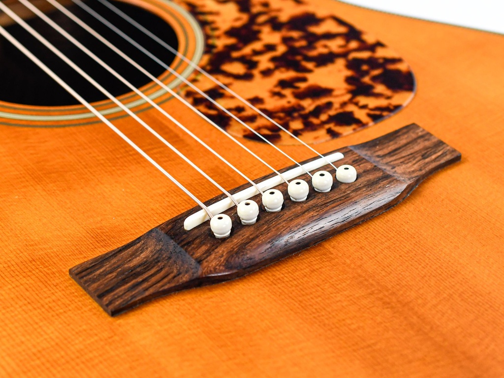 Blueridge BR163C Rosewood Spruce 2012-10.jpg
