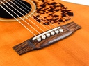 Blueridge BR163C Rosewood Spruce 2012-10.jpg