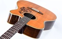 Blueridge BR163C Rosewood Spruce 2012-8.jpg