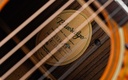 Blueridge BR163C Rosewood Spruce 2012-12.jpg