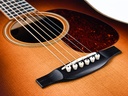 Bourgeois DB Signature Deluxe D Madagascar Rosewood - Aged Tone Adirondack Spruce-10.jpg