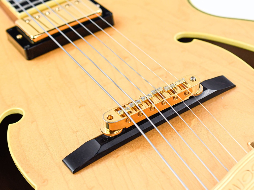 [#F0501288] Ibanez PM100 Pat Metheny Natural 2005-10.jpg