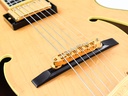 [#F0501288] Ibanez PM100 Pat Metheny Natural 2005-10.jpg