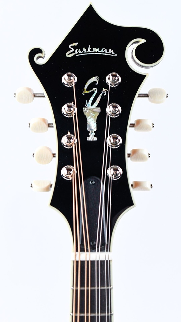 Eastman MD815 PGE-4.jpg