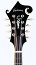 Eastman MD815 PGE-4.jpg