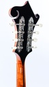 Eastman MD815 PGE-5.jpg