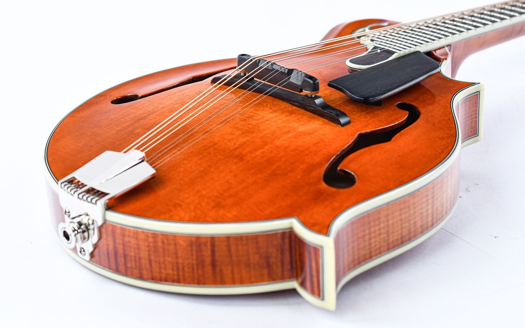 Eastman MD815 PGE-12.jpg