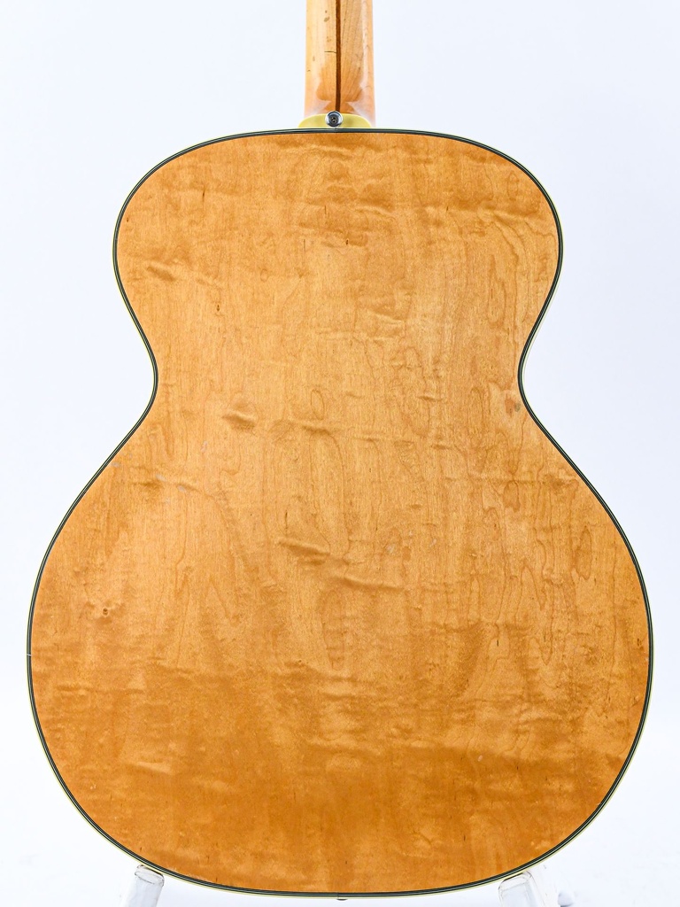 Guild F50 Navarre Blonde 1964-6.jpg