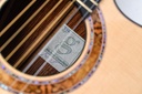 Greenfield G2 Honduras Rosewood Sitka-13.jpg