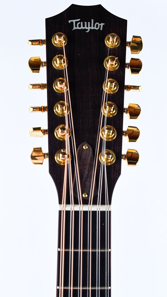 Taylor LKSM Leo Kottke 2008-4.jpg