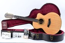 Taylor LKSM Leo Kottke 2008-1.jpg