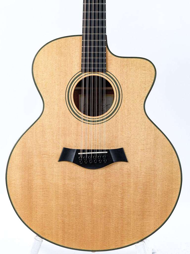 Taylor LKSM Leo Kottke 2008-3.jpg