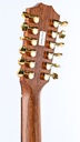 Taylor LKSM Leo Kottke 2008-5.jpg