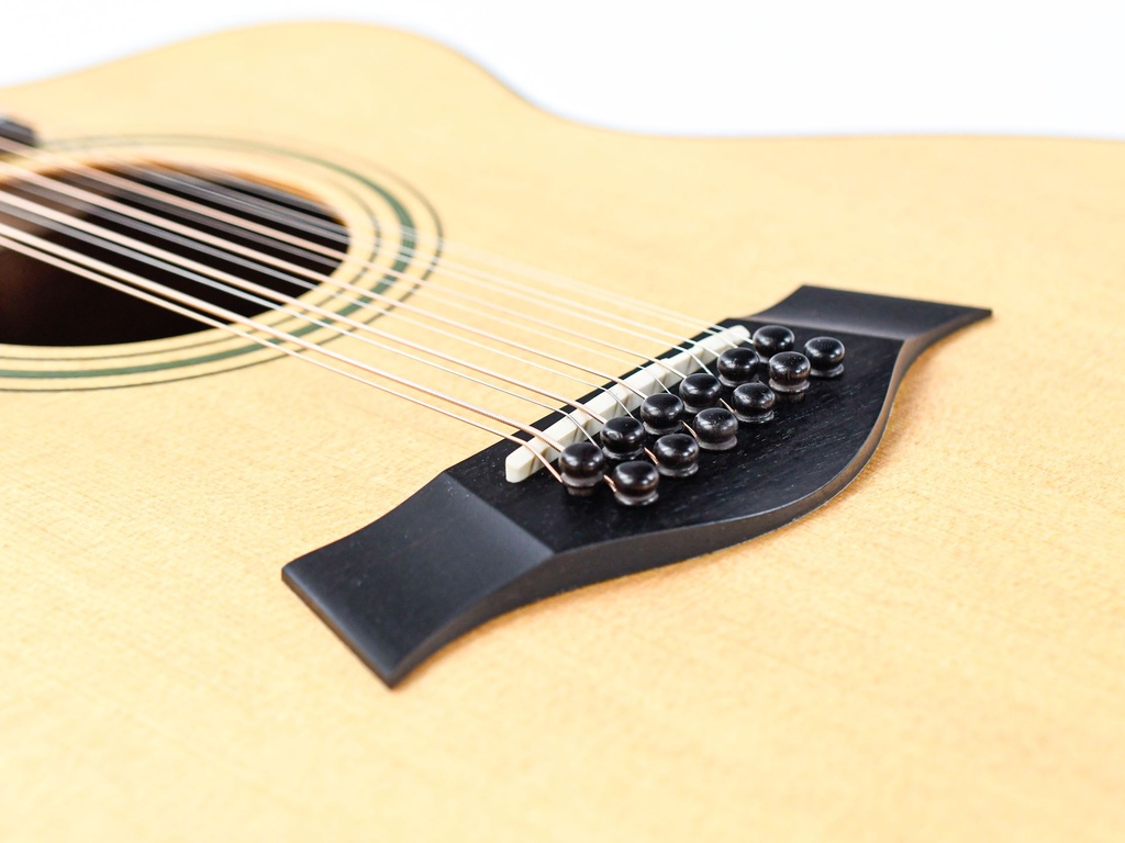 Taylor LKSM Leo Kottke 2008-10.jpg