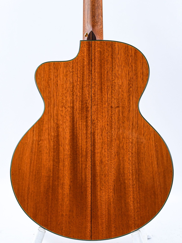 Taylor LKSM Leo Kottke 2008-6.jpg