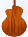 Taylor LKSM Leo Kottke 2008-6.jpg