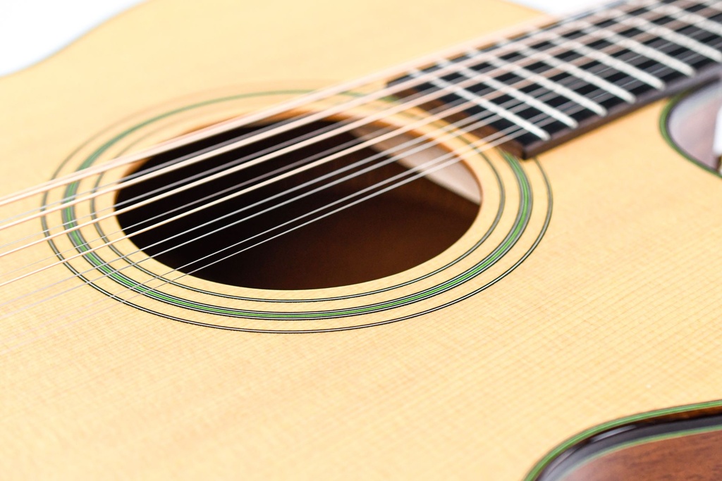 Taylor LKSM Leo Kottke 2008-11.jpg