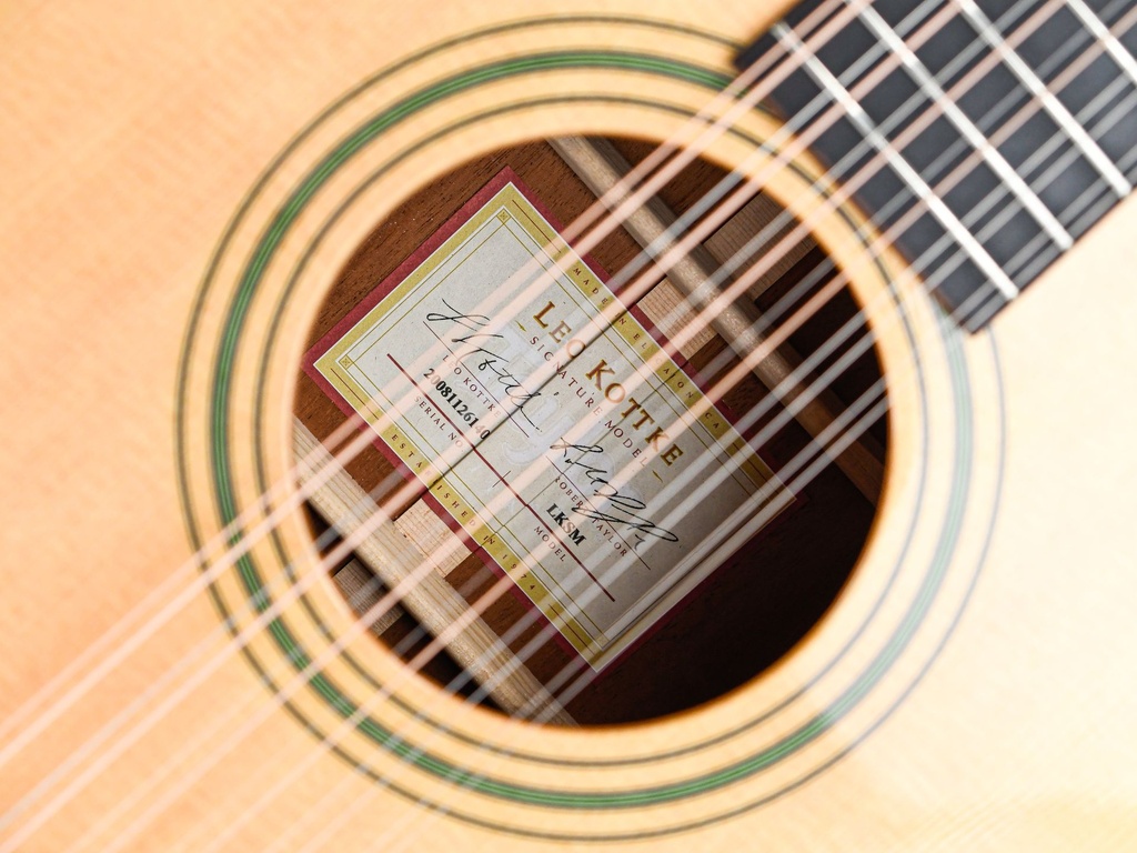 Taylor LKSM Leo Kottke 2008-12.jpg