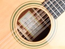 Taylor LKSM Leo Kottke 2008-12.jpg