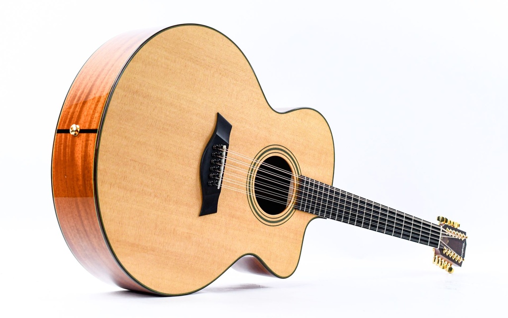Taylor LKSM Leo Kottke 2008-13.jpg