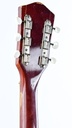 Silvertone 1369L 'Thin Twin' 50s-5.jpg